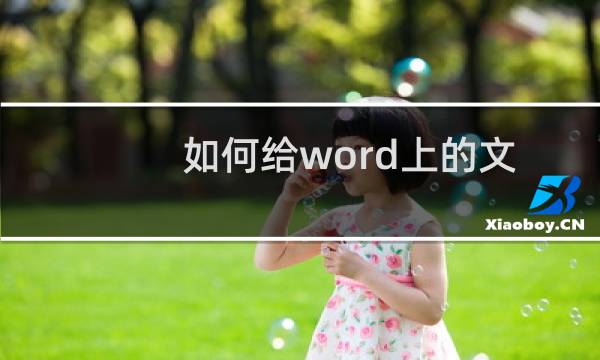 如何给word上的文字加粗