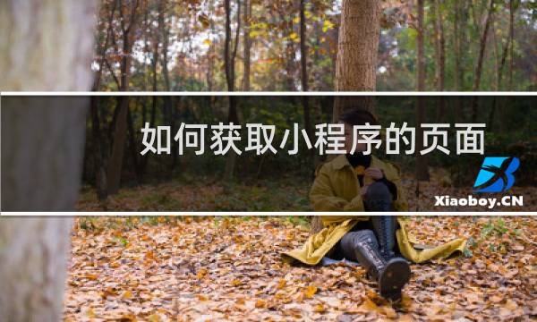 如何获取小程序的页面访问路径