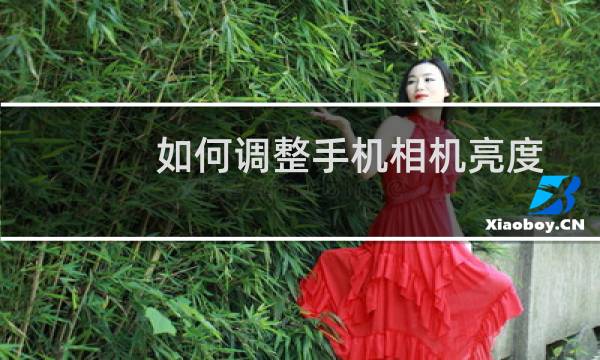 如何调整手机相机亮度