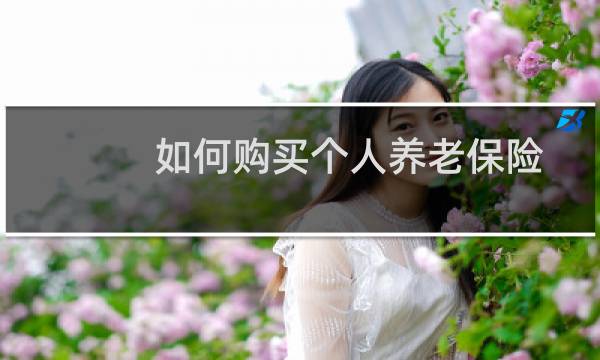 如何购买个人养老保险