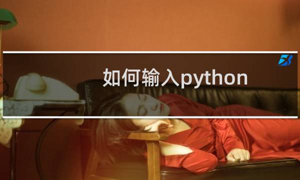如何输入python软件的用户信息？
