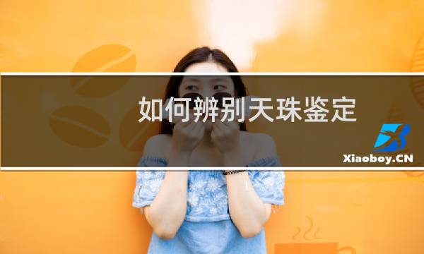如何辨别天珠鉴定