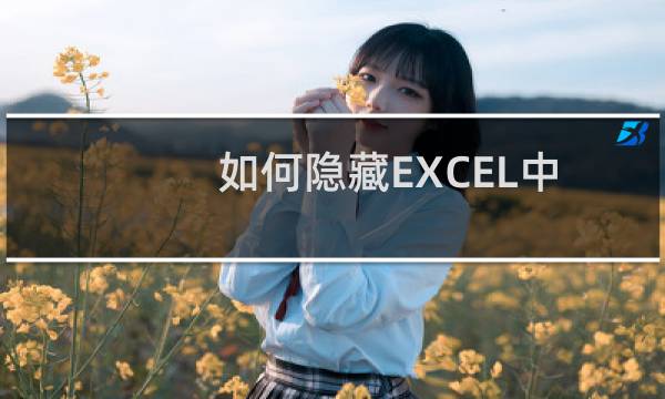 如何隐藏EXCEL中的表格线