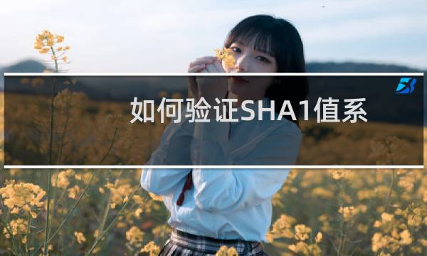 如何验证SHA1值系统镜像iso是否官方原版Windows