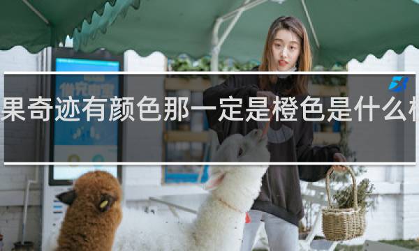 如果奇迹有颜色那一定是橙色是什么梗什么梗