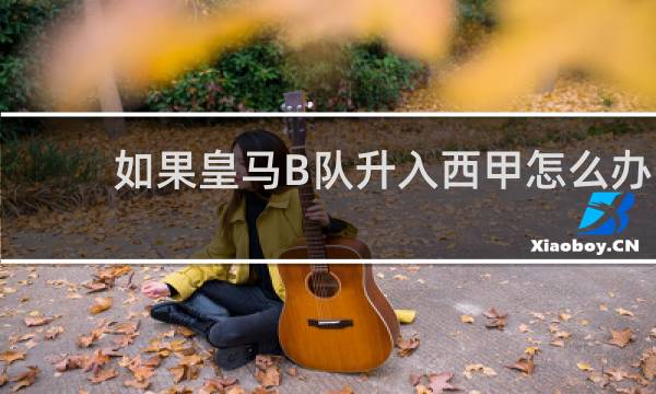 如果皇马B队升入西甲怎么办
