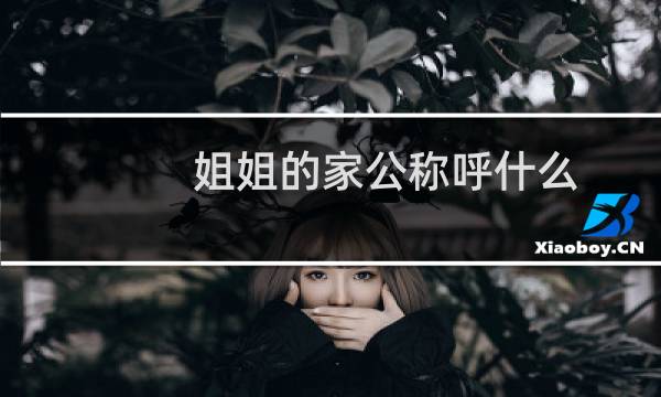姐姐的家公称呼什么