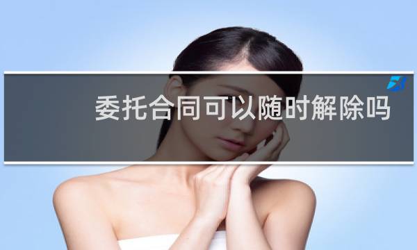 委托合同可以随时解除吗