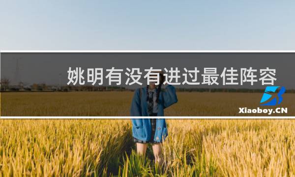 姚明有没有进过最佳阵容