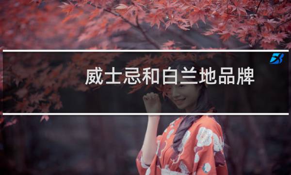 威士忌和白兰地品牌