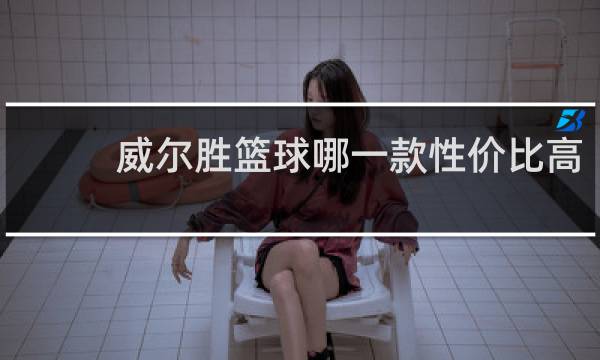 威尔胜篮球哪一款性价比高