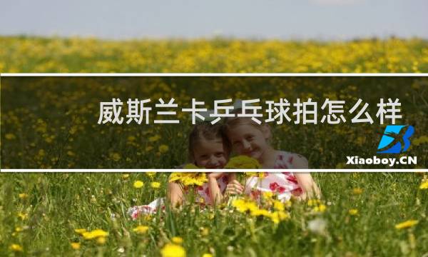 威斯兰卡乒乓球拍怎么样