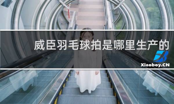 威臣羽毛球拍是哪里生产的