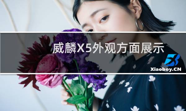 威麟X5外观方面展示