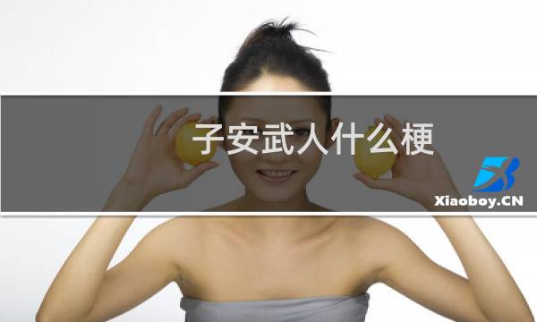 子安武人什么梗