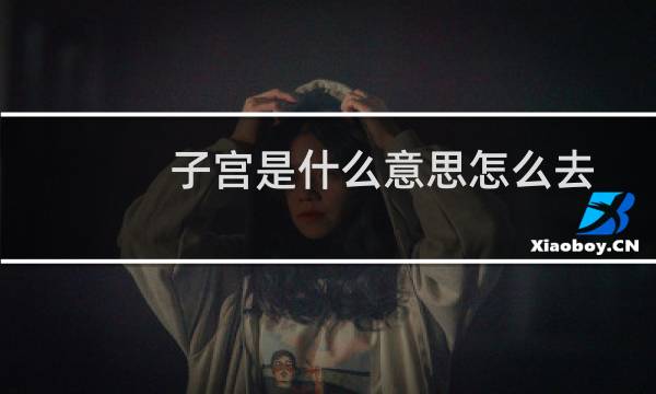 子宫是什么意思怎么去理解（子宫是什么意思）图片