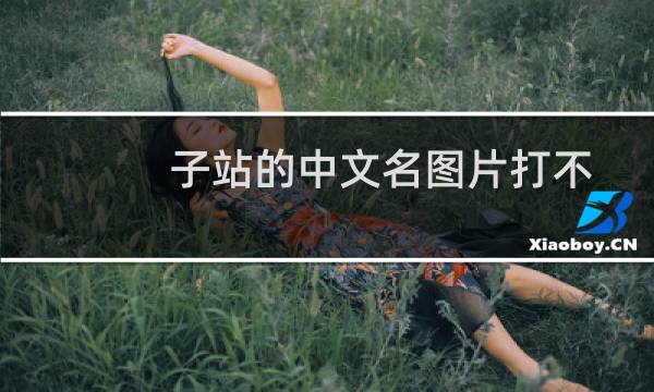 子站的中文名图片打不开？已设置编码