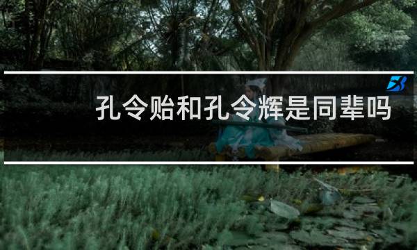 孔令贻和孔令辉是同辈吗