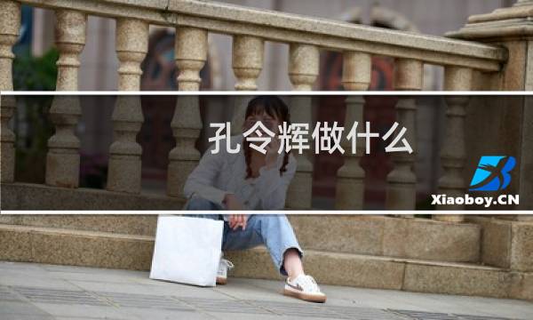 孔令辉做什么