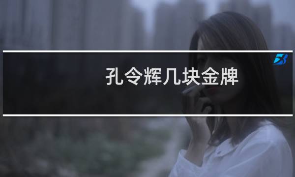 孔令辉几块金牌