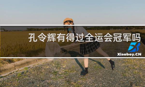 孔令辉有得过全运会冠军吗