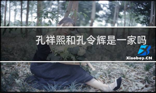 孔祥熙和孔令辉是一家吗