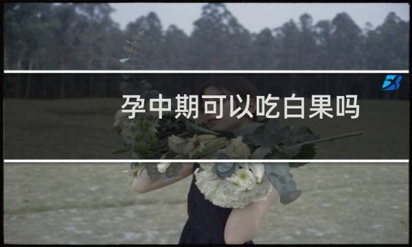 孕中期可以吃白果吗