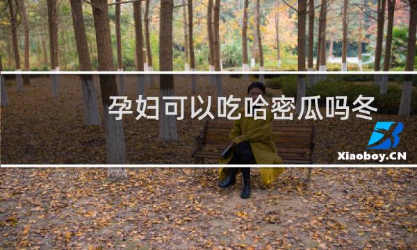 孕妇可以吃哈密瓜吗冬天（孕妇可以吃哈密瓜吗）图片
