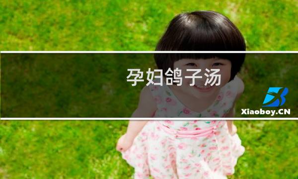 孕妇鸽子汤