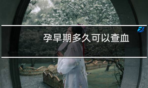 孕早期多久可以查血(孕早期多久可以做b超)