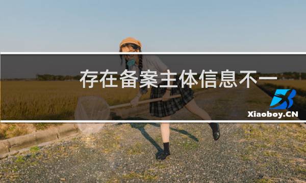 存在备案主体信息不一致-其他问题