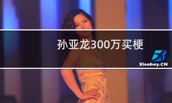 孙亚龙300万买梗 imp400万娶妻什么梗