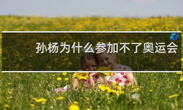 孙杨为什么参加不了奥运会