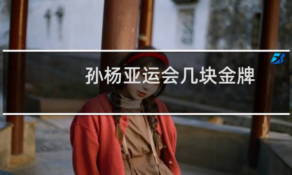 孙杨亚运会几块金牌