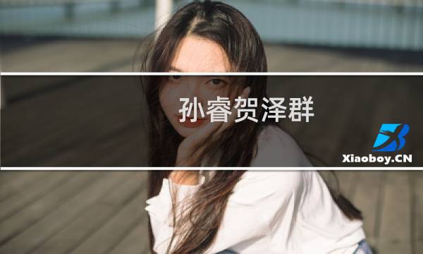 孙睿贺泽群（孙睿新书）