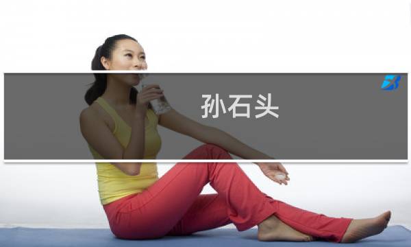 孙石头（SteenTeise）(石头用英文怎么写?)