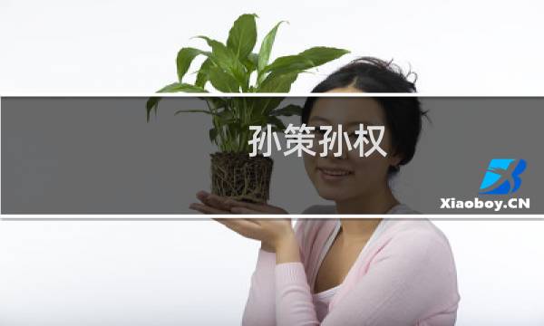 孙策孙权，孙坚孙策孙权三主对比