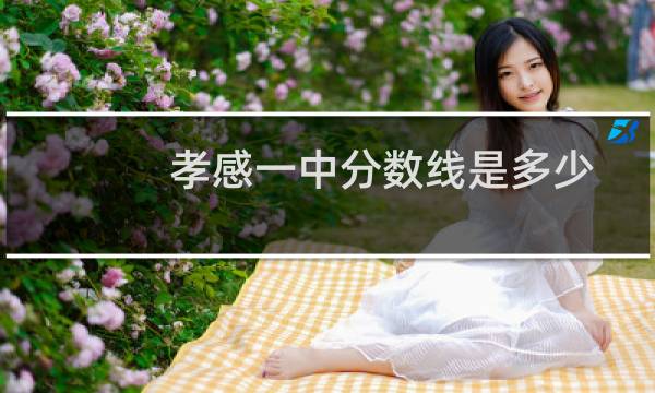 孝感一中分数线是多少分2021（孝感一中分数线）图片