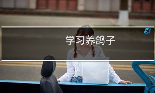 学习养鸽子
