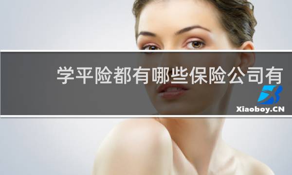 学平险都有哪些保险公司有图片