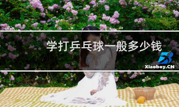 学打乒乓球一般多少钱