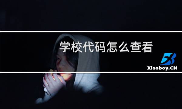 学校代码怎么查看（学校代码该如何查询）图片