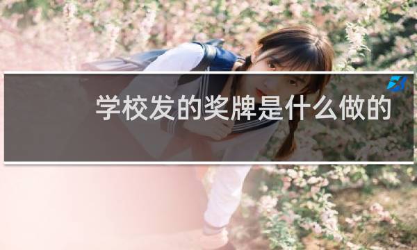 学校发的奖牌是什么做的
