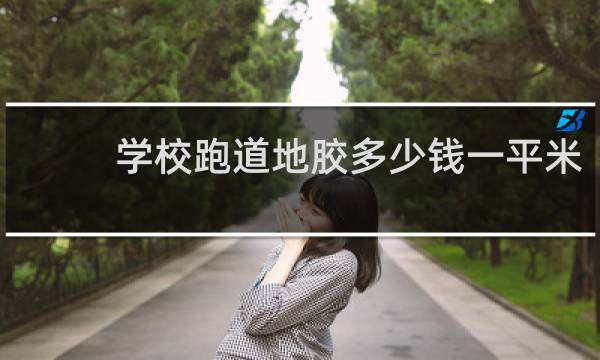 学校跑道地胶多少钱一平米