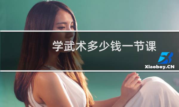 学武术多少钱一节课