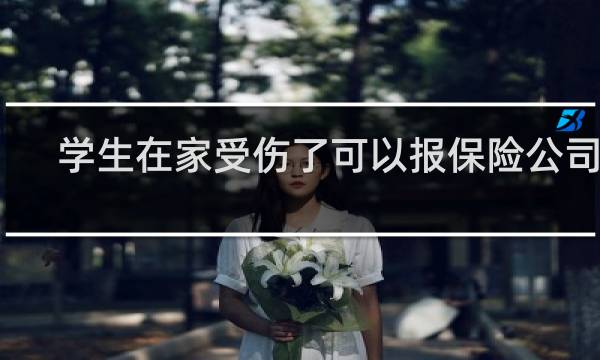 学生在家受伤了可以报保险公司吗