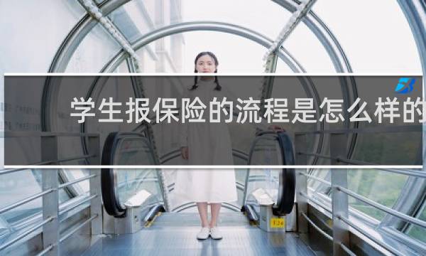 学生报保险的流程是怎么样的