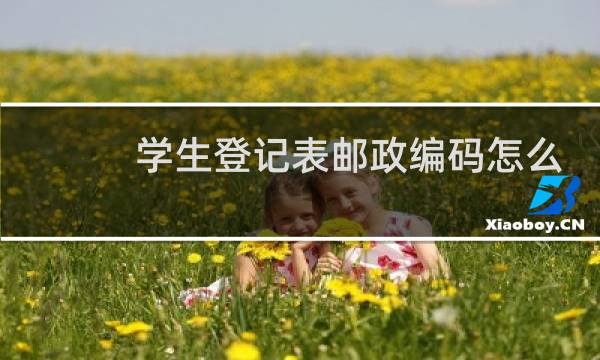 学生登记表邮政编码怎么填
