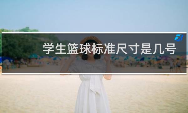 学生篮球标准尺寸是几号