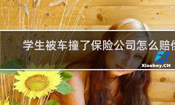 学生被车撞了保险公司怎么赔偿图片